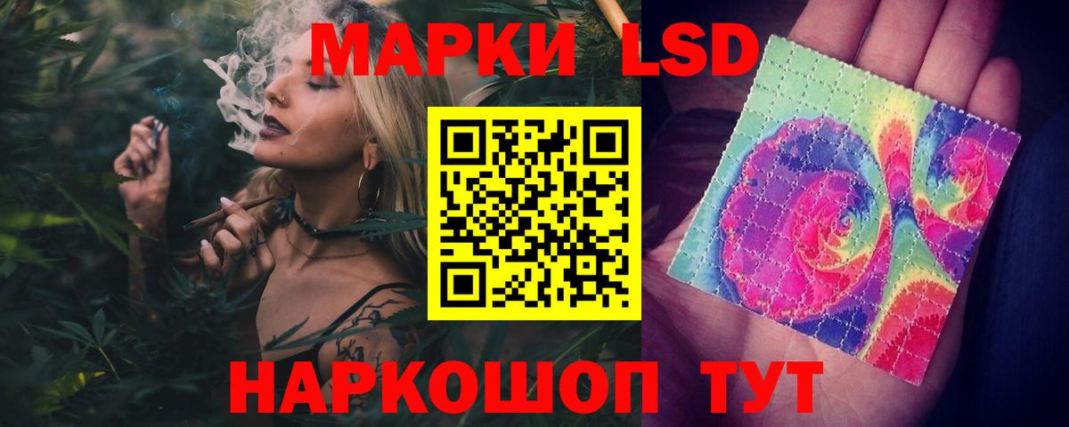 блэк спрут ссылки  Вход с VPN  Камышлов  ЛСД экстази ecstasy  Лсд 25 экстази ecstasy  ЛСД экстази 