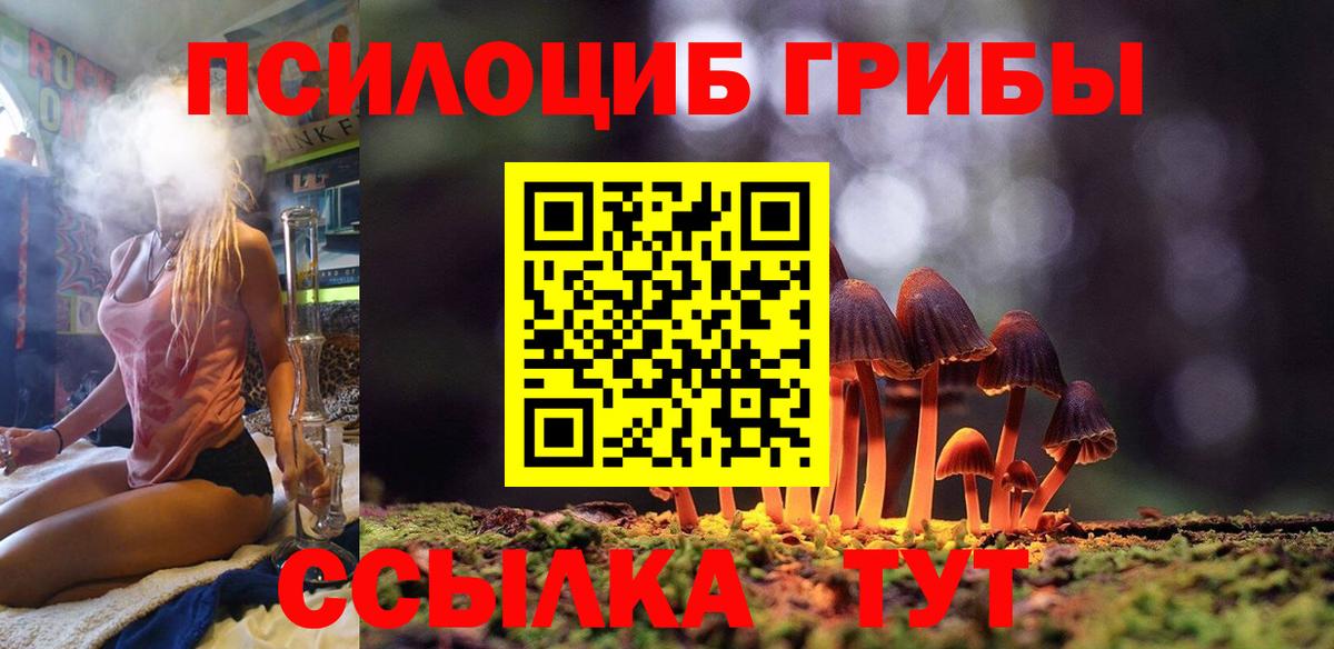 Псилоцибиновые грибы Psilocybine cubensis  Вход с VPN  Галлюциногенные грибы MAGIC MUSHROOMS  Камышлов 